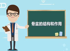 【醫(yī)療科普】：你知道骨盆在人體中有什么作用嗎？